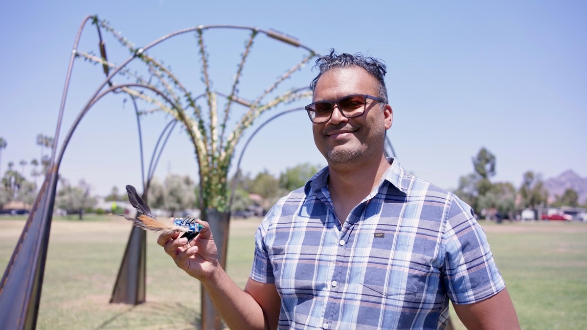 Hyperwilding: Sonic Perplexity as Urban Acupuncture to Promote Environmental Kinship