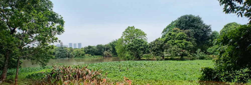 Considerations Towards Outdoor Impact Mitigation of Site-Related NIME Practice