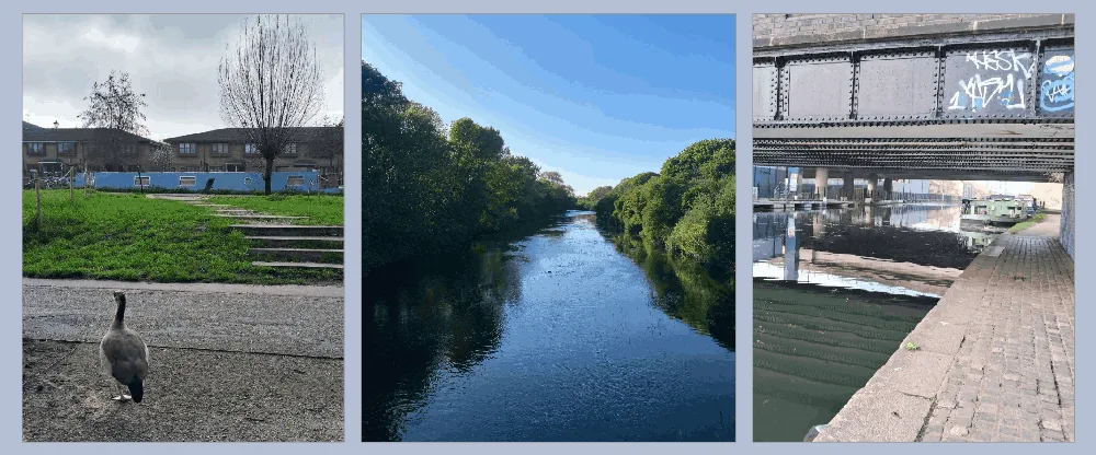The Third Bank of the River Lea: Listening to Waterbodies in East London