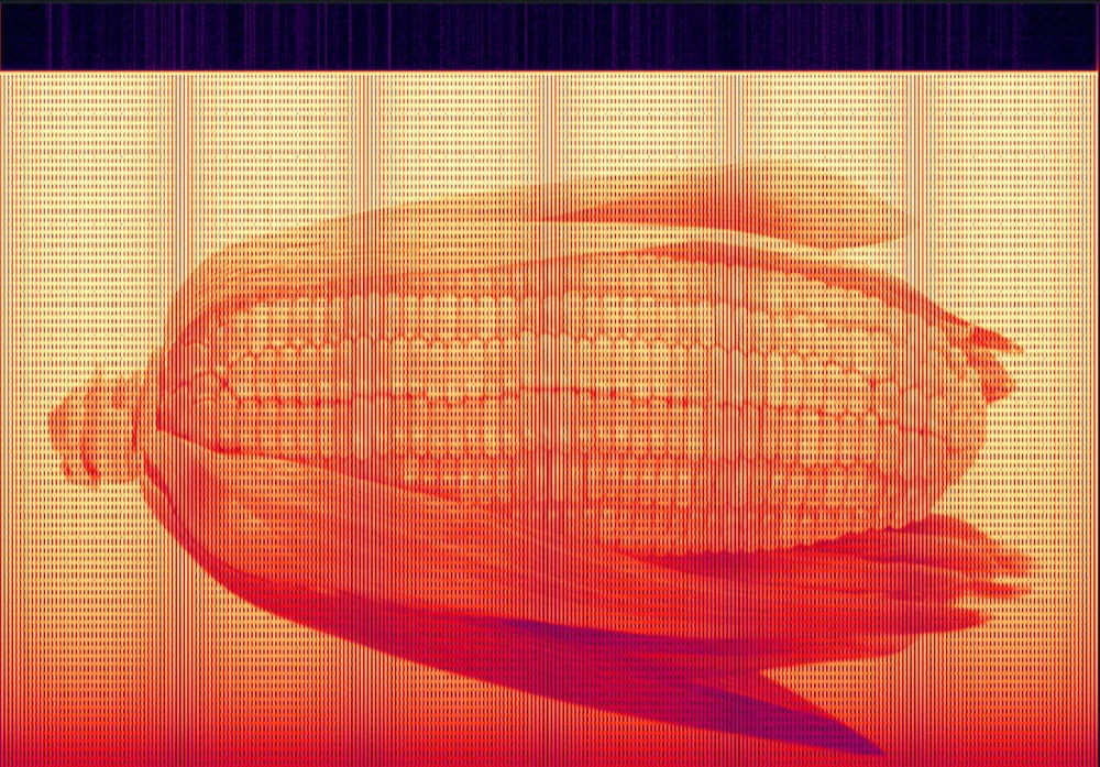 Pop Music