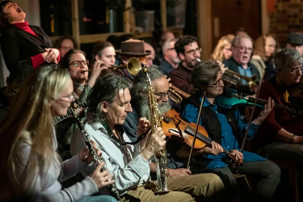 an orchestra of professional musicians
